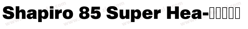 Shapiro 85 Super Hea字体转换